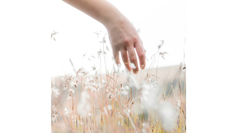 Per poder visualitzar aquest video actualitzeu el vostre navegador.