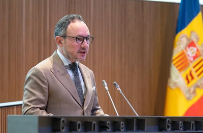 El Consell General dona suport unànim al conveni de connexió de la nova LAT amb Espanya
