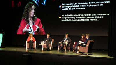  FEDA reivindica la cooperació transfronterera per garantir un sistema energètic segur, net i competitiu