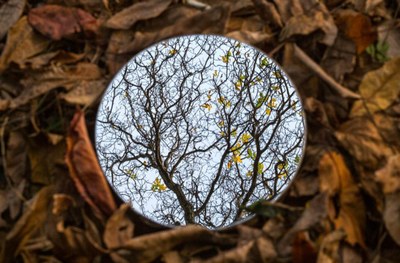 Reflex, de Sofia Ortun, guanya el primer premi del concurs fotogràfic de FEDA, “Una mirada sostenible”